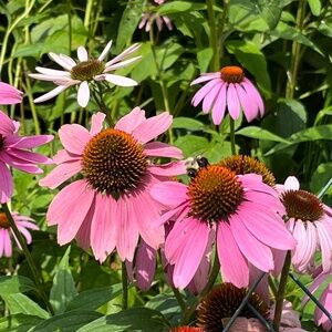 Meet your Posher, Ellie